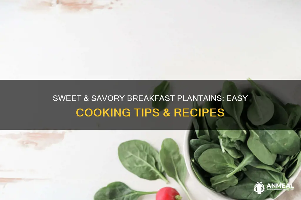 how to cook plantains for breakfast