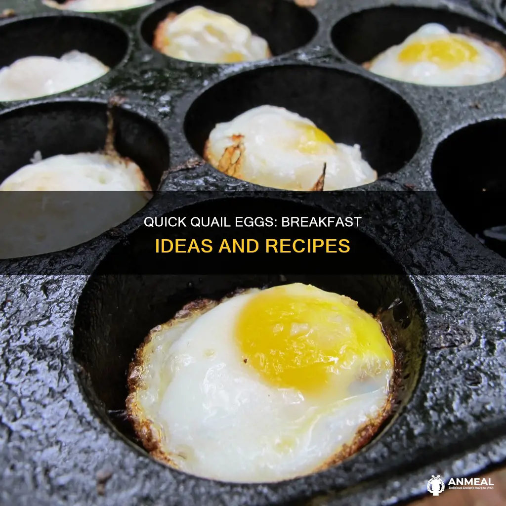 how to cook quail eggs for breakfast