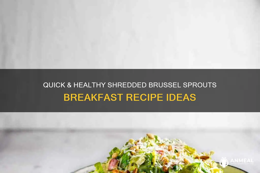 how to cook shredded brussel sprouts for breakfast
