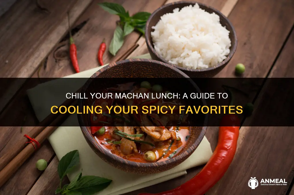 how to cool a murchan insta lunch