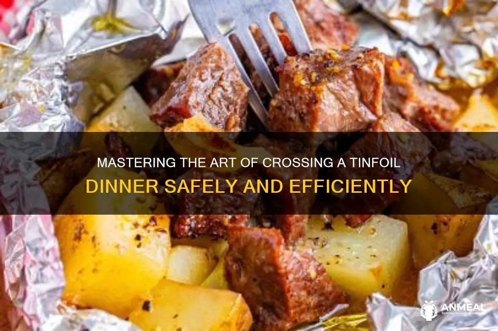 how to cross a tinfoil dinner