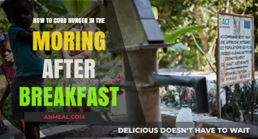 Beat Morning Hunger Pangs: Post-Breakfast Tips to Stay Full Longer