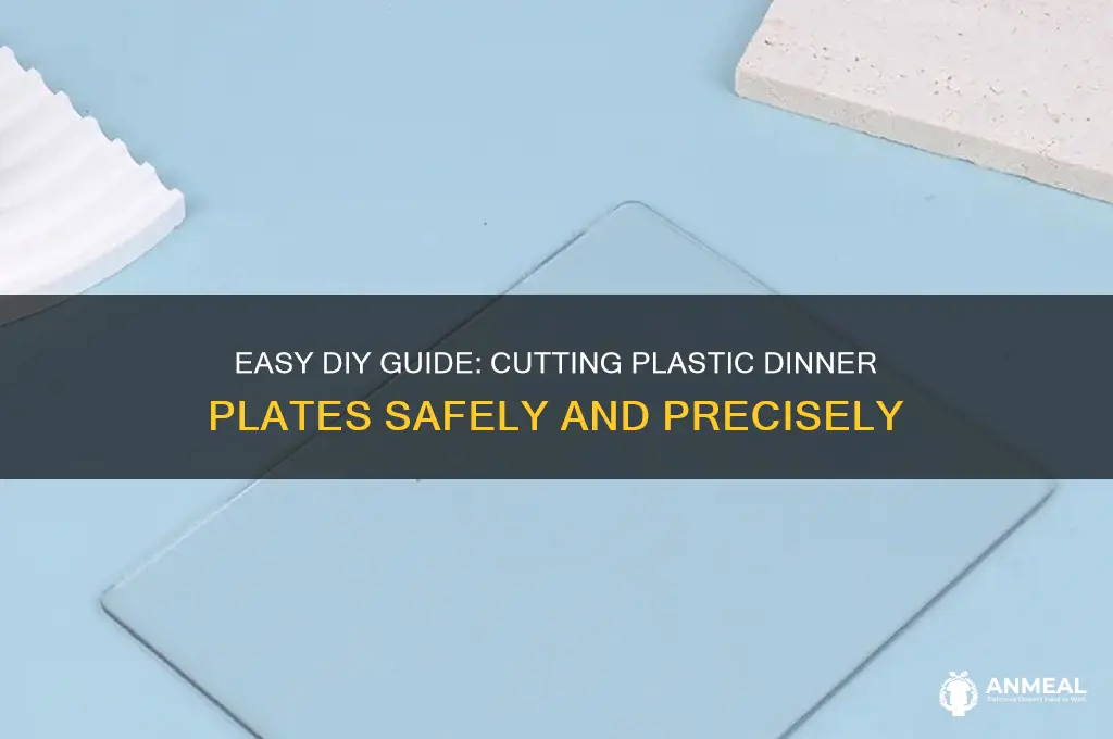how to cut plastic dinner plate