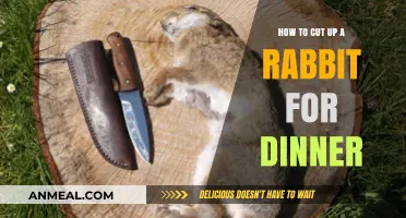 Mastering Rabbit Butchery: A Step-by-Step Guide for Delicious Dinner Prep