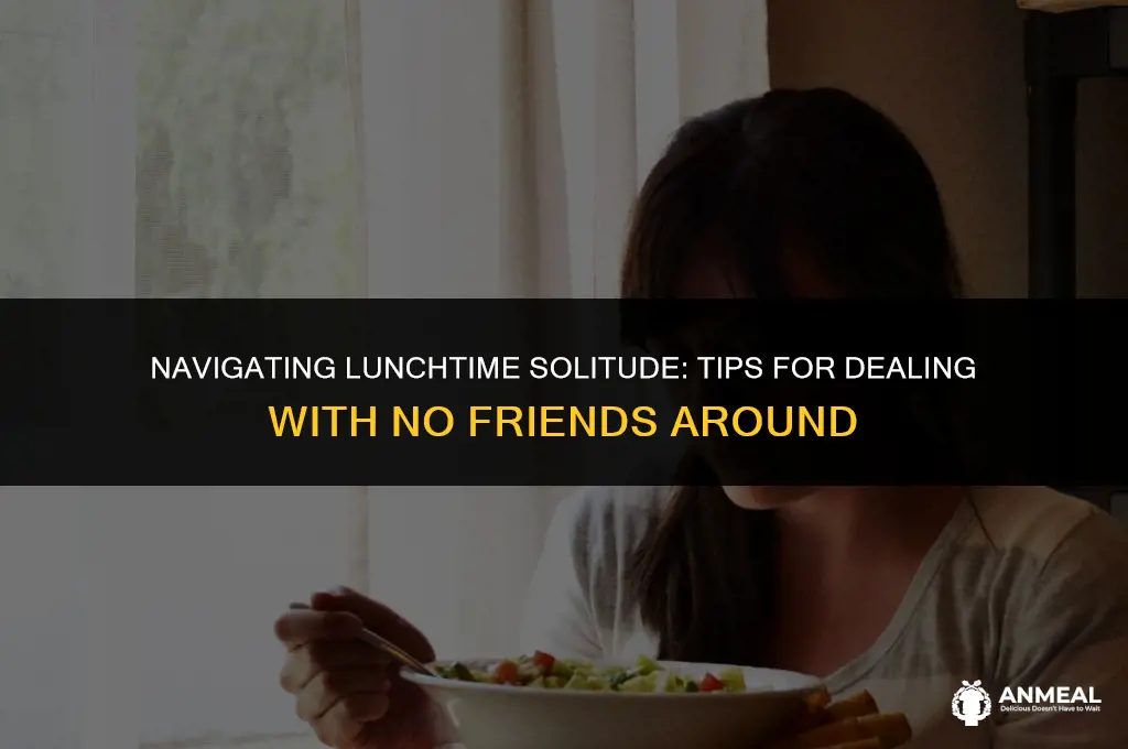 how to deal with not having friends at lunch