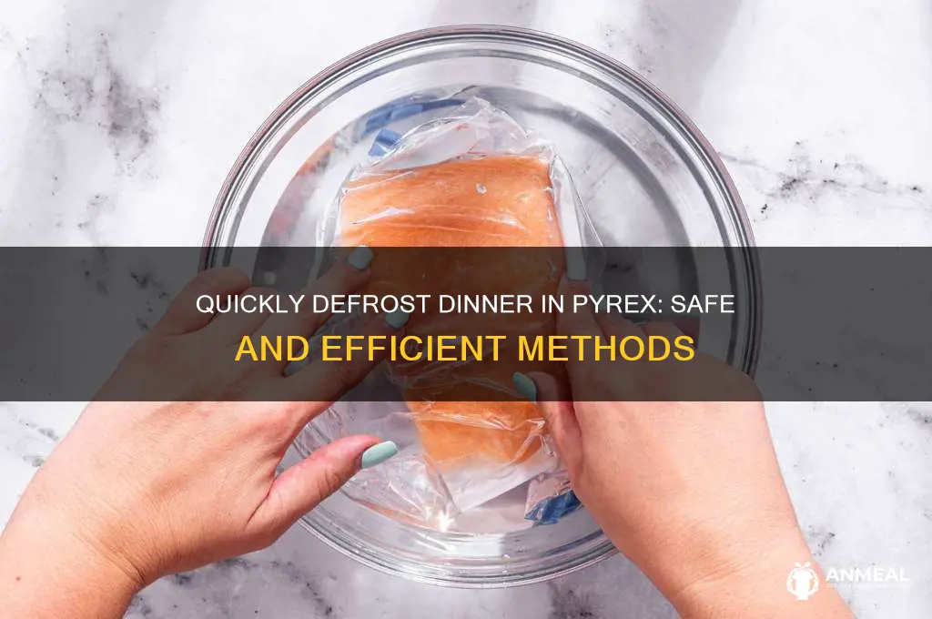how to defrost dinner in pyrex