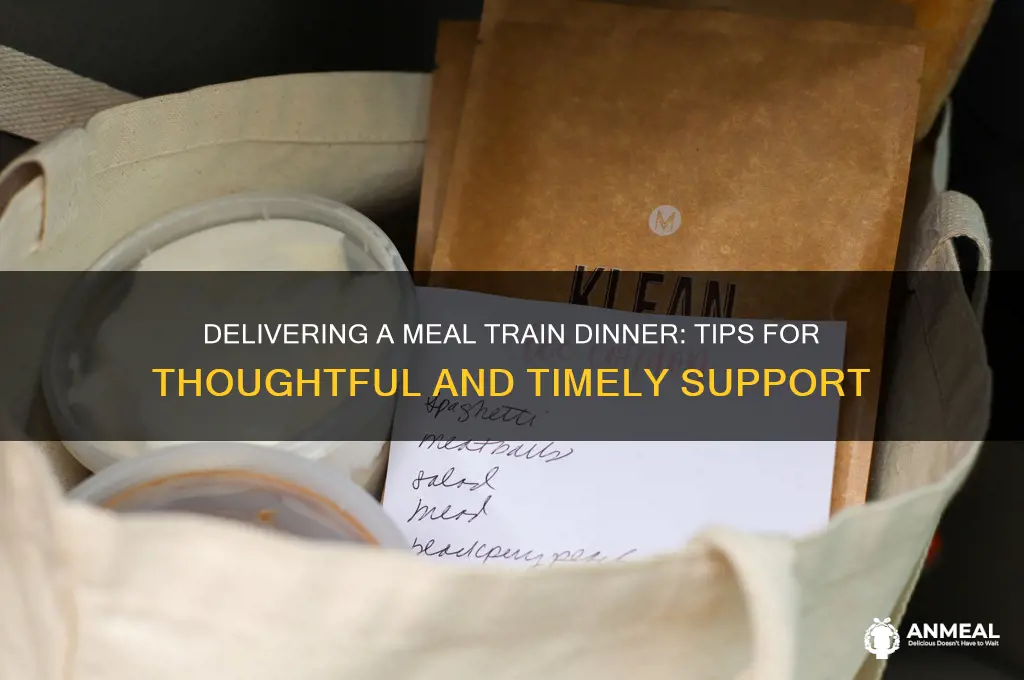 how to deliver a meal train dinner