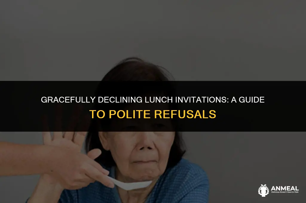 how to deny politely someone for lunch