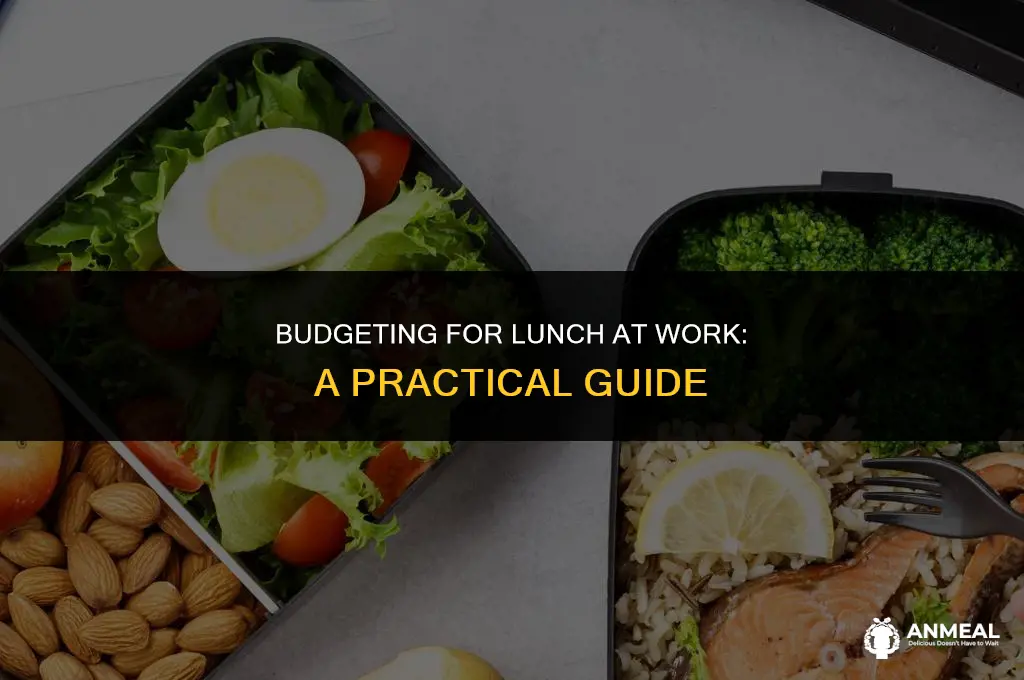 how to describe in the budget the lunch at work