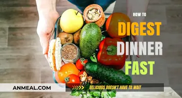 Quick Digestion Tips: How to Digest Dinner Fast and Feel Lighter