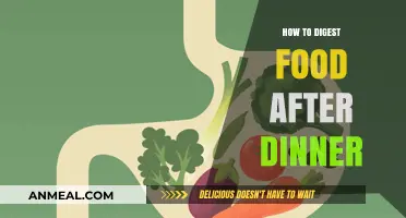 Post-Dinner Digestion Tips: Enhance Comfort and Nutrient Absorption Easily