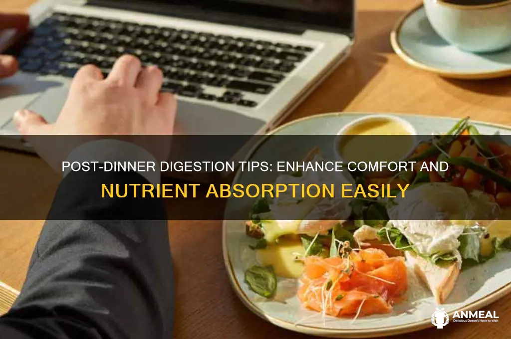 how to digest food after dinner