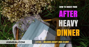 Post-Heavy Dinner Digestive Relief: Simple Tips for Comfort and Ease