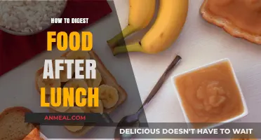 Digestive Ease: Tips for Comfort After Lunch