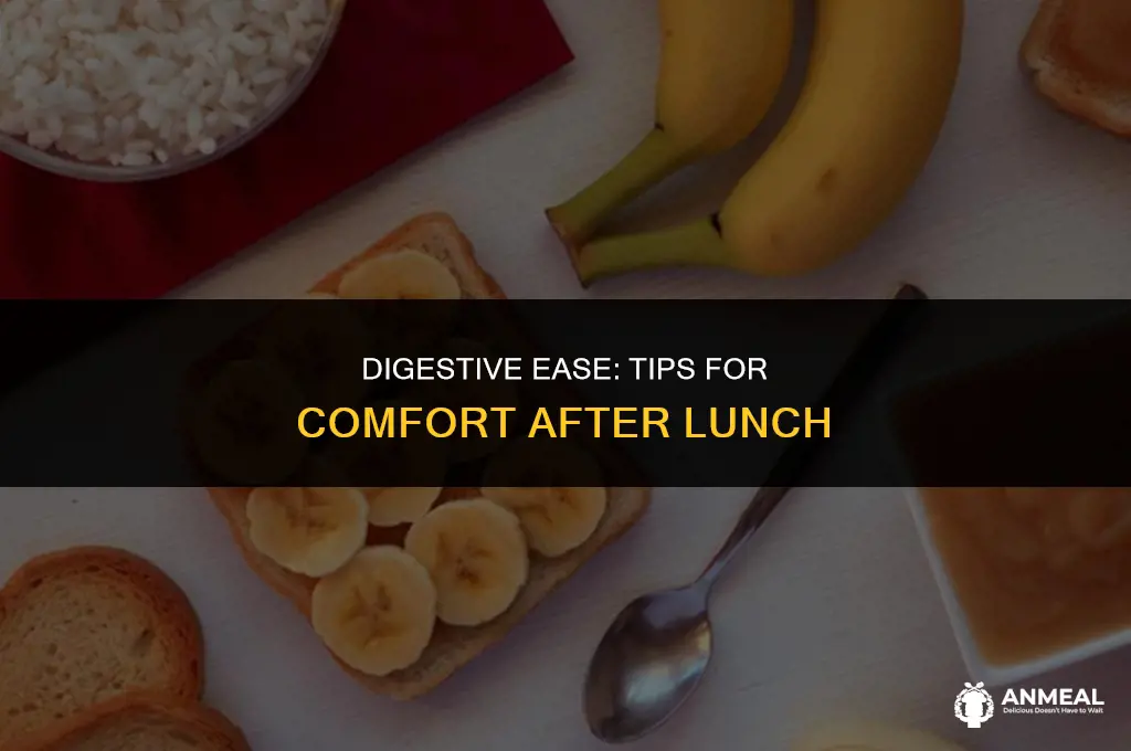 how to digest food after lunch