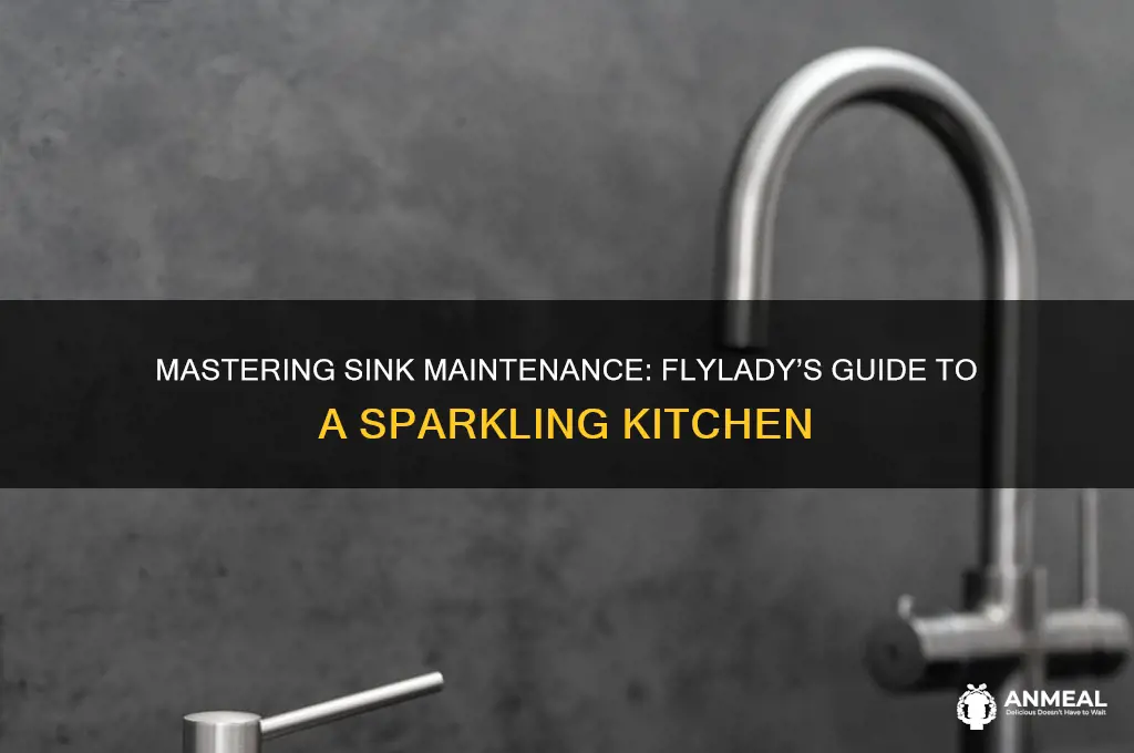 how to dinner your sink flylady