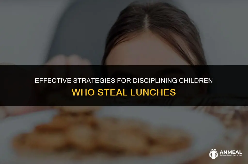 how to discipline your child for stealing someone elses lunch