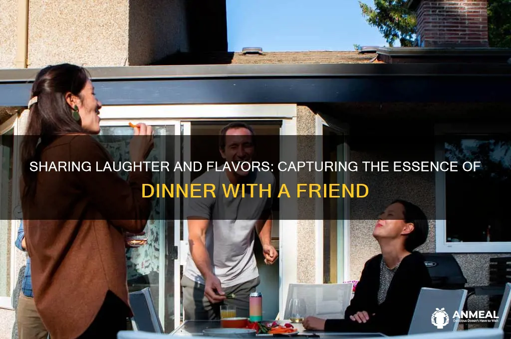 how to discribe dinner wth a friend