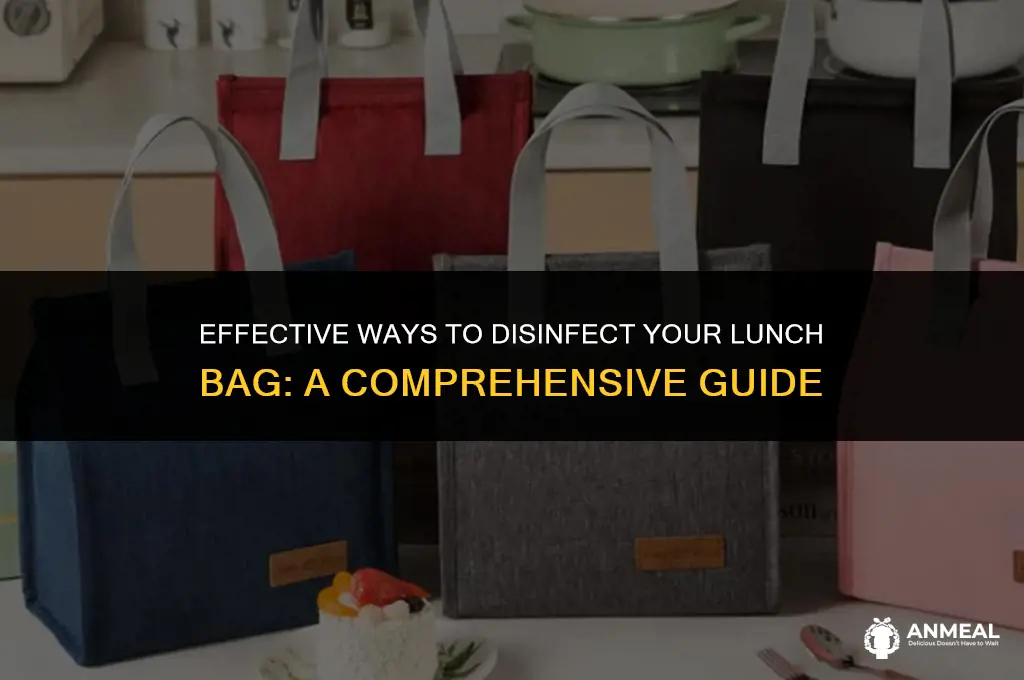 how to disinfect lunch bag