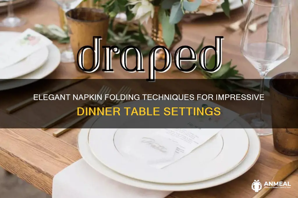 how to disply napkin for dinner