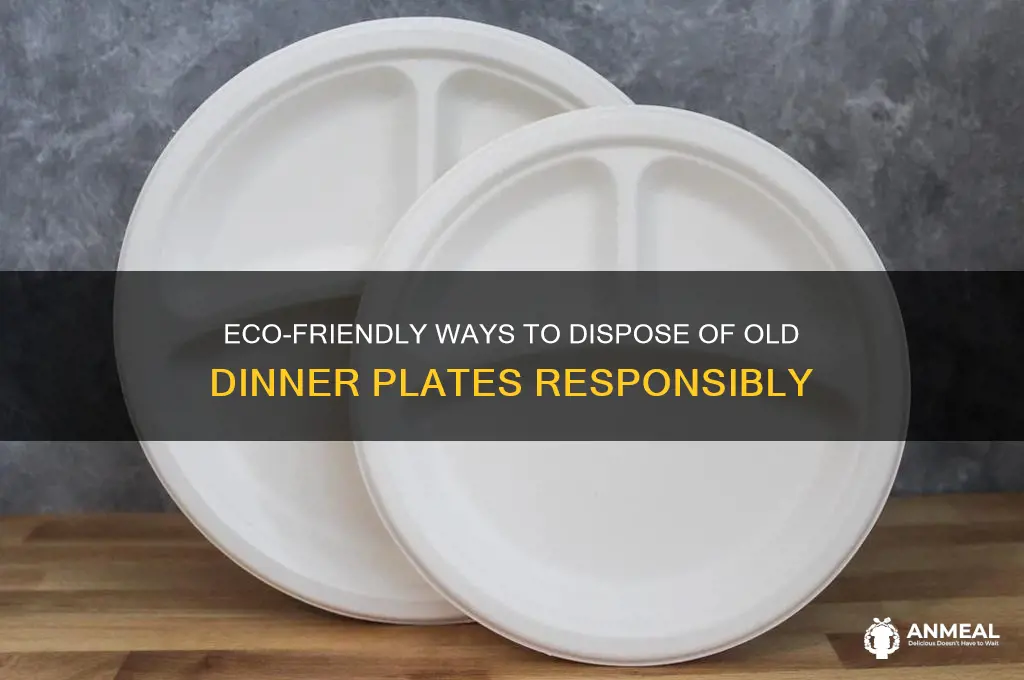 how to dispose of old dinner plates
