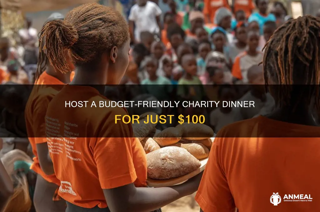 how to do a 100 dollar charity dinner