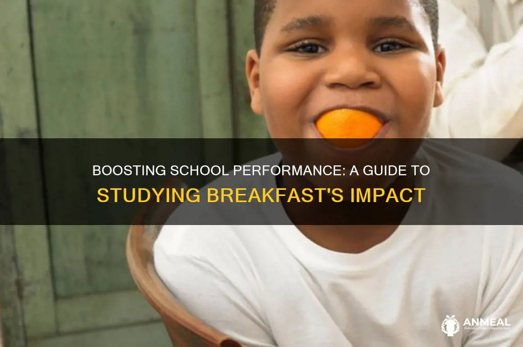 how to do a study on breakfast school performance studies