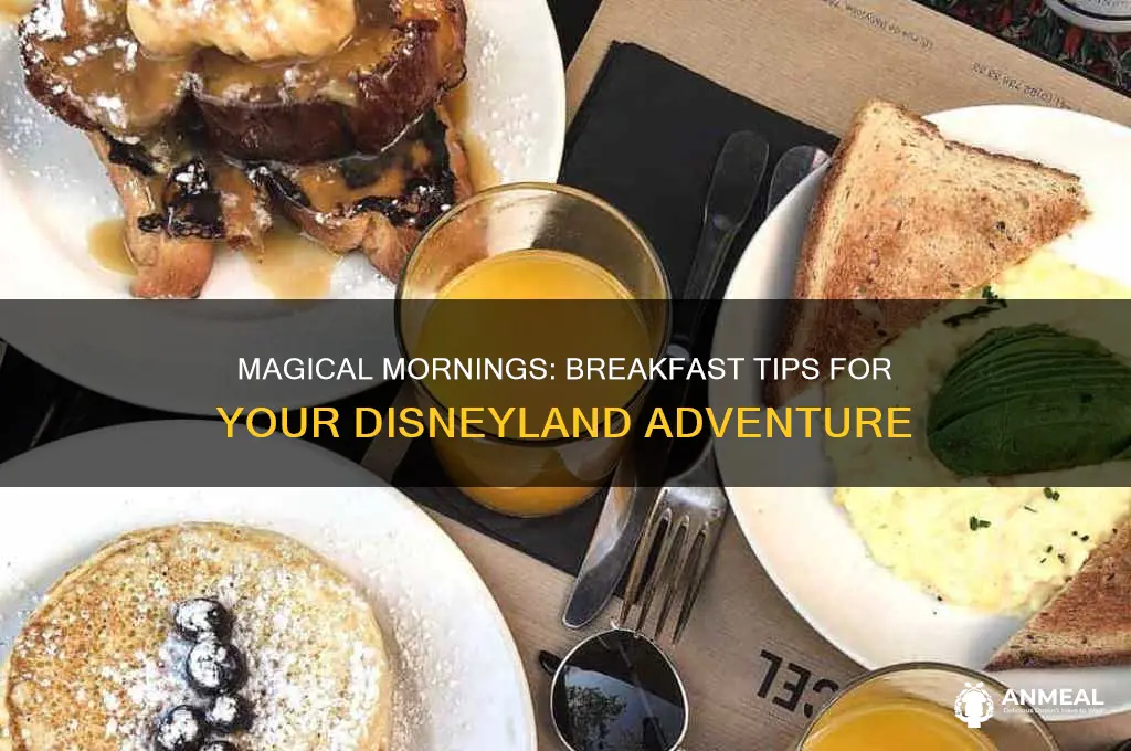 how to do breakfast around disneyland