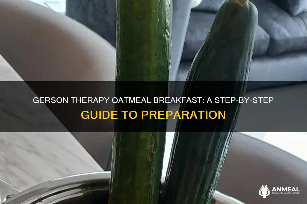 how to do gerson therapy oatmeal breakfast