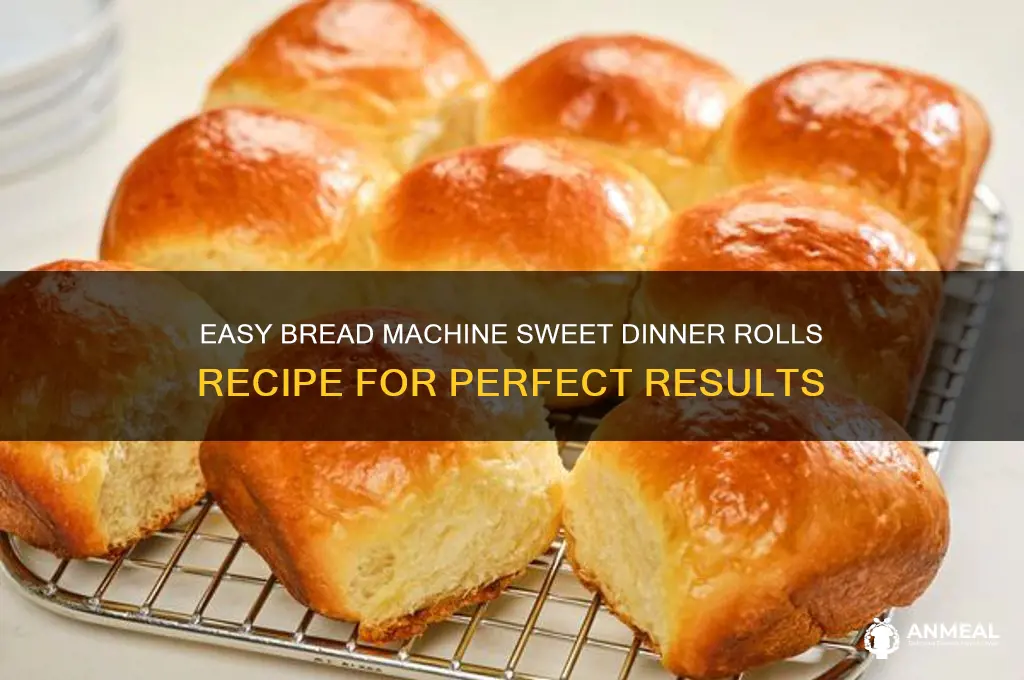 how to do sweet dinner rolls in bread machine