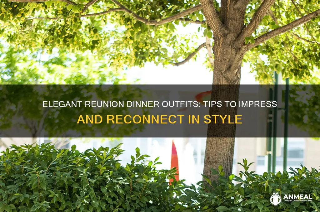 how to dress for a reunion dinner