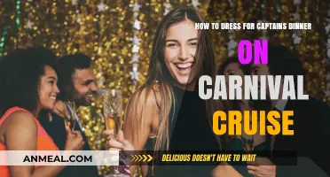 Elegant Attire Tips for Carnival Cruise Captain's Dinner Night