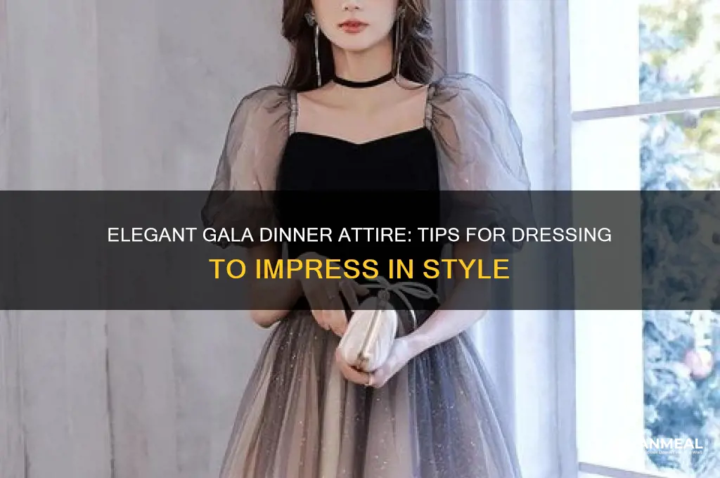 how to dress for gala dinner
