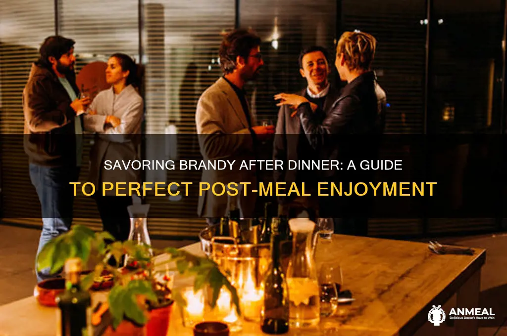 how to drink brandy after dinner