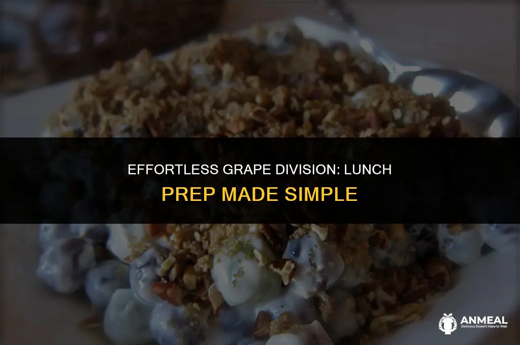 how to easily divide grapes for 20 lunches