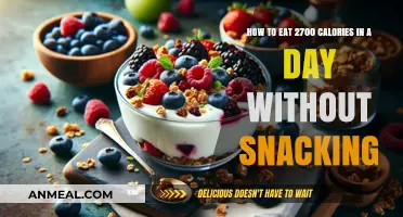 Fueling Your Day: A Guide to Meeting Your 2700 Calorie Needs Without Snacking