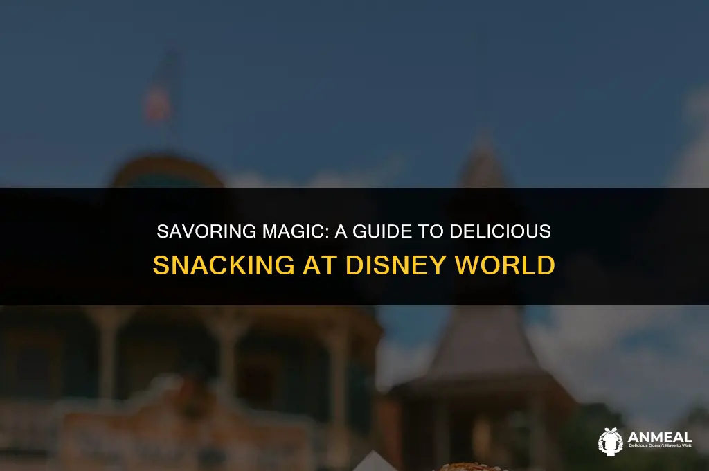 how to eat well in disney world on snack credits