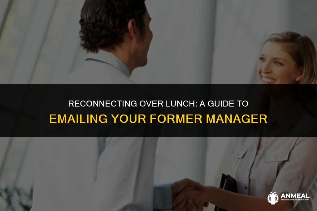 how to email a former mamager to have lunch