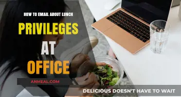 Navigating Office Etiquette: A Guide to Emailing About Lunch Privileges