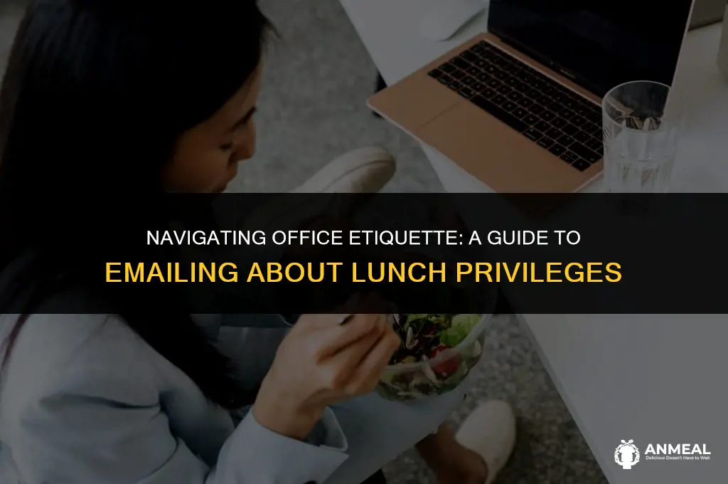 how to email about lunch privileges at office