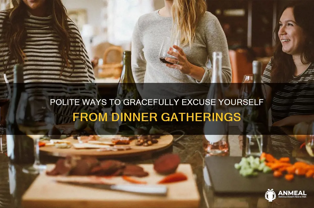how to excuse yourself from dinner