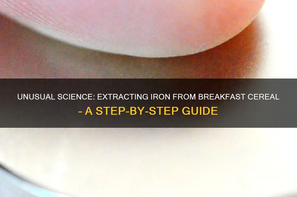 how to extract iron from breakfast cereal