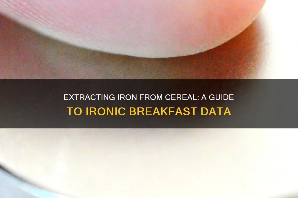 how to extract iron from cereal datatable ironic breakfast cereal
