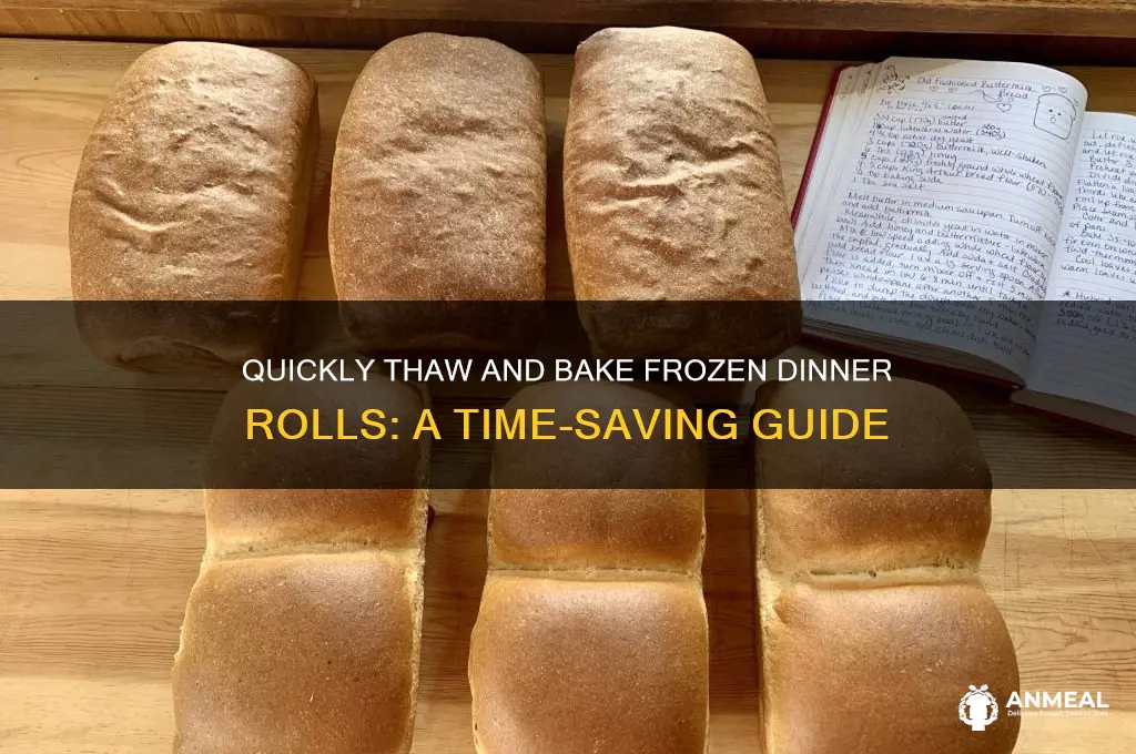 how to fast rise frozen dinner rolls