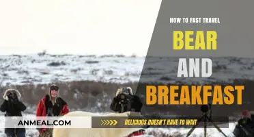 Master Fast Travel in Bear and Breakfast: Tips and Tricks