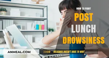 Beat the Afternoon Slump: Strategies to Stay Energized Post-Lunch