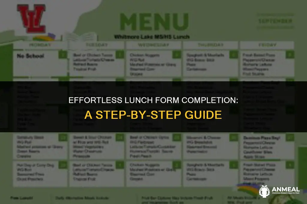 how to fill lunch form
