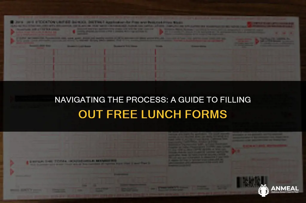 how to fill out a free lunch form