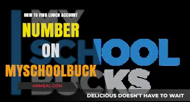 Locate Your Lunch Account Number on MySchoolBucks: A Simple Guide