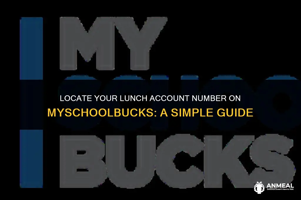 how to find lunch account number on myschoolbucks